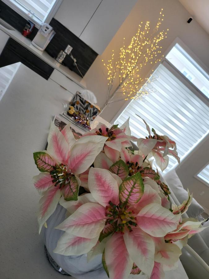 Bliss-Home Otawa Exterior foto